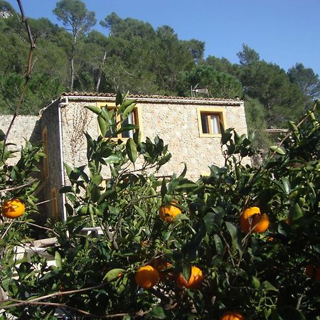 Sa Rota De Ca'N Casetes ξενώνας Caimari Εξωτερικό φωτογραφία